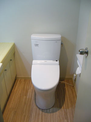 外国製便器よりTOTO・ピュアレストQR壁排水に取替 外国製便器よりTOTO・ピュアレストQR壁排水に取替